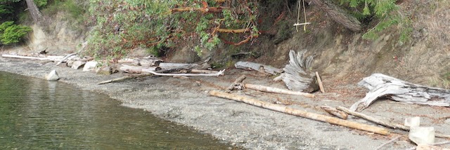 Erosion damage at Baker Beach shoreline